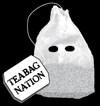 Tea Bag Party